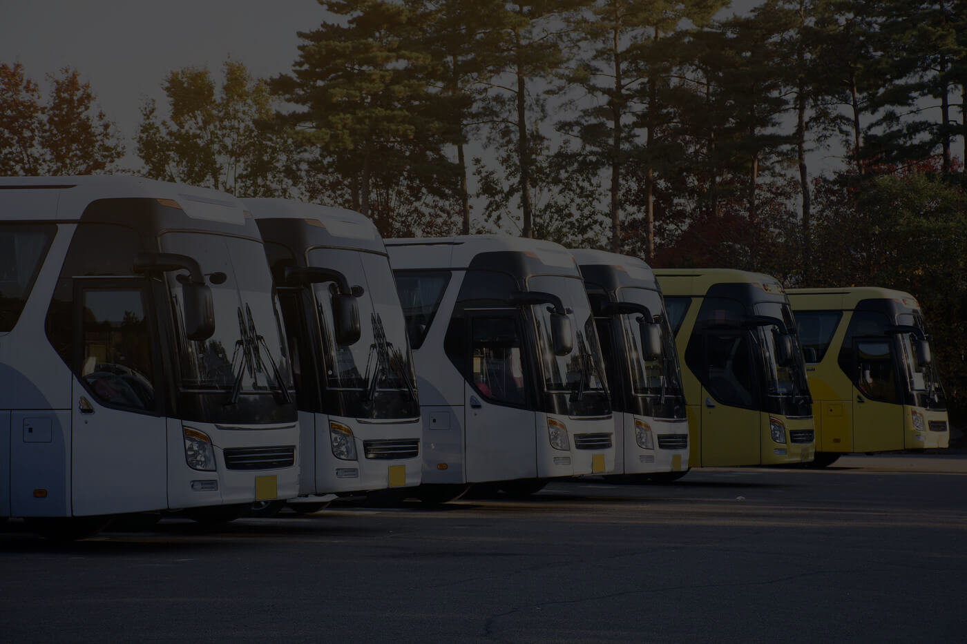 Frequently Asked Questions About Bus Charters